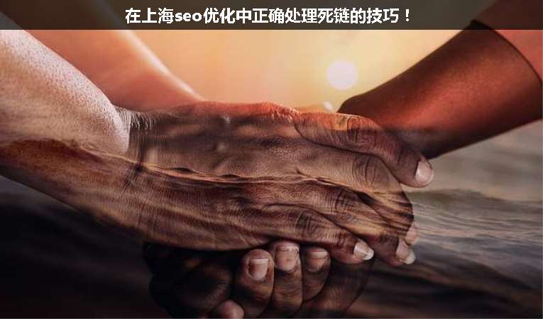 在上海seo優化中正確處理死鏈的技巧！