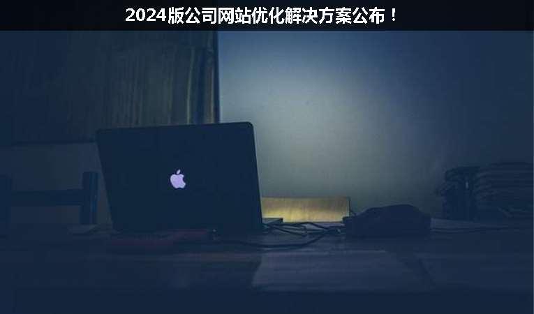2024版公司網站優化解決方案公布！