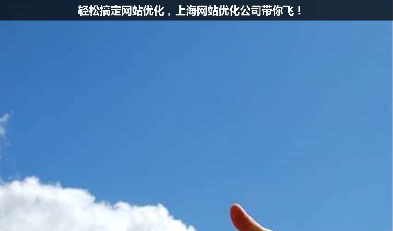 輕松搞定網站優化，上海網站優化公司帶你飛！