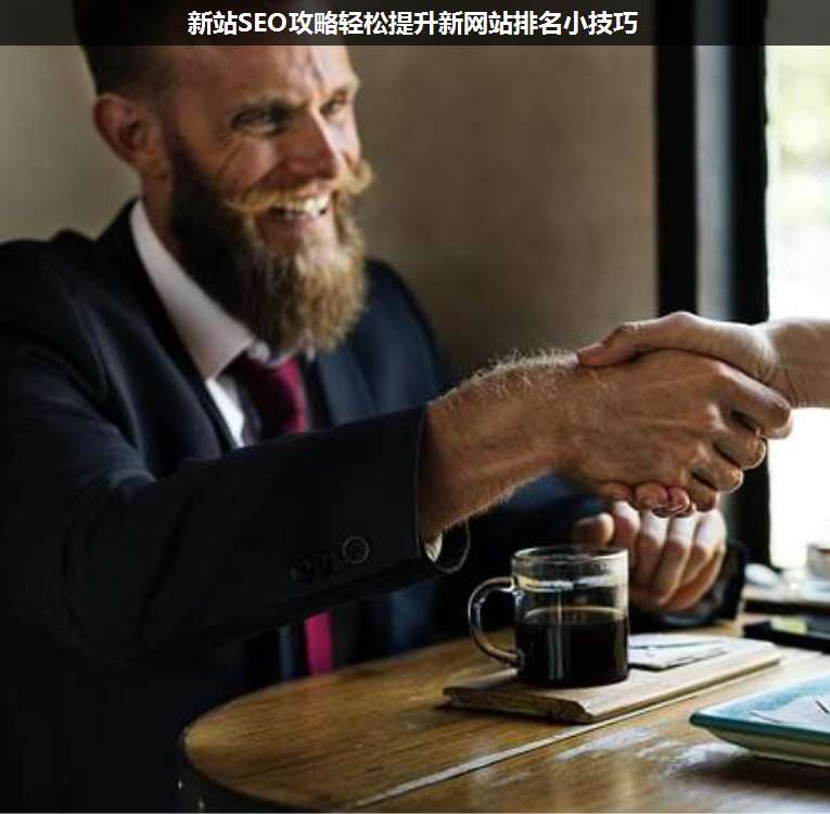 新站SEO攻略輕松提升新網站排名小技巧